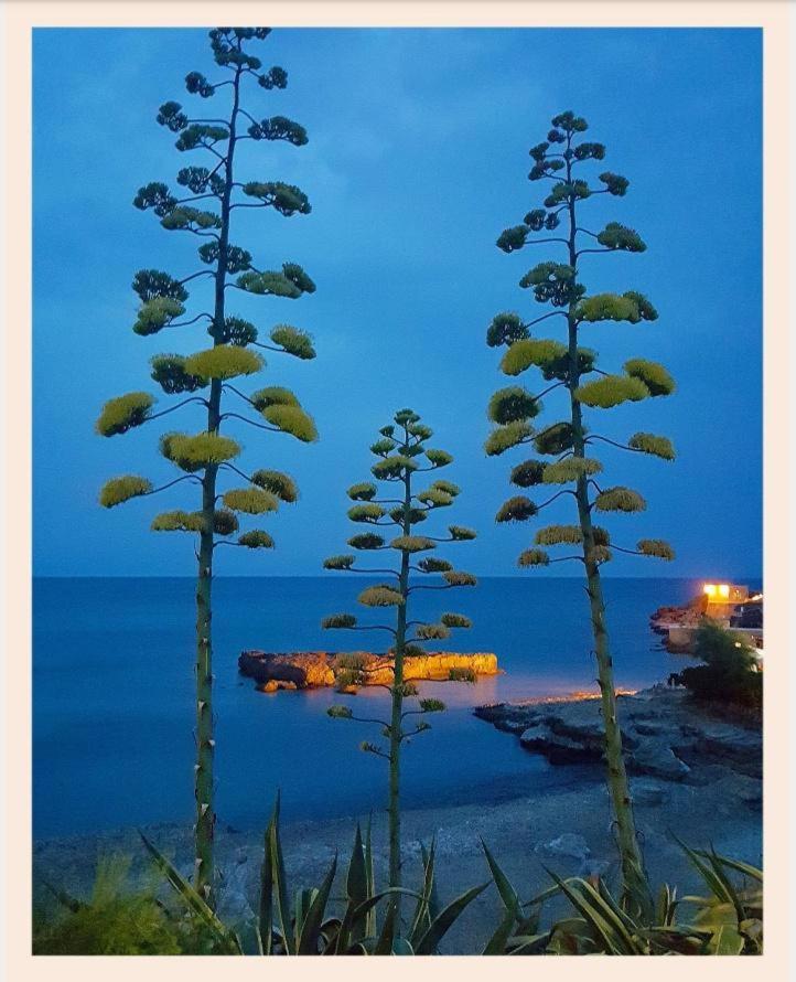 Villa La Rucchetta Alghero Dış mekan fotoğraf