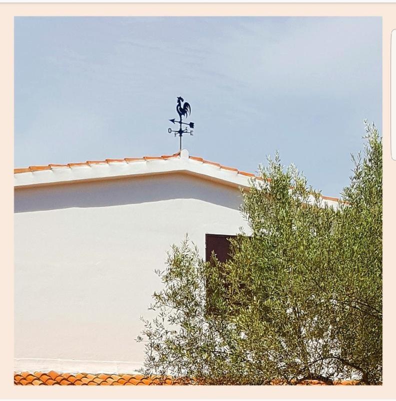 Villa La Rucchetta Alghero Dış mekan fotoğraf