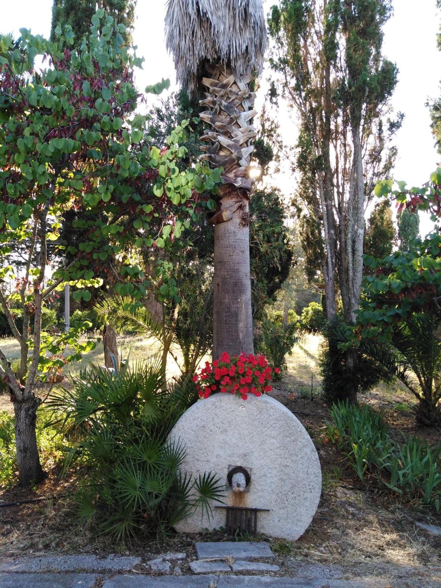 Villa La Rucchetta Alghero Dış mekan fotoğraf